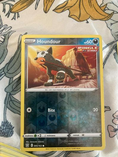 Houndour #102 photo