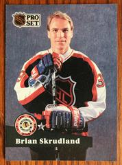 Brian Skrudland #306 Hockey Cards 1991 Pro Set Prices