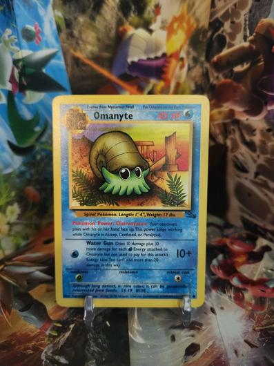 Omanyte #52 photo