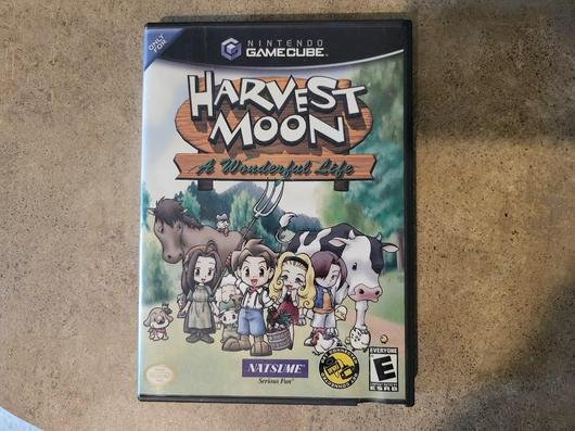 Harvest Moon A Wonderful Life photo