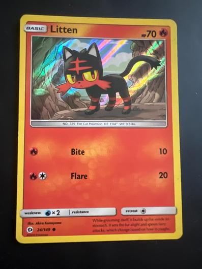 Litten #24 photo