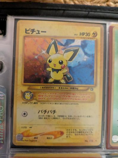 Pichu #172 photo