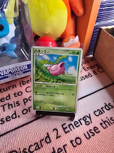 Hoppip [1st Edition] photo