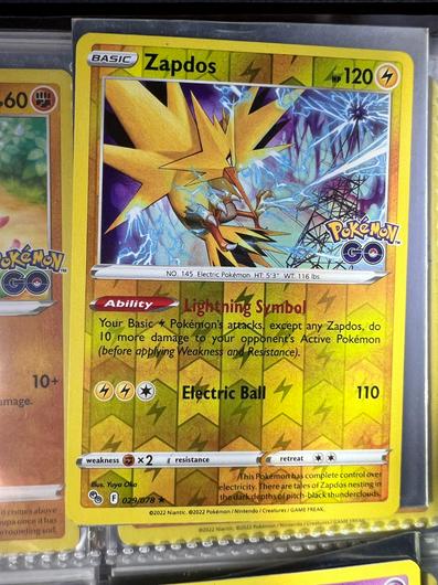 Zapdos [Reverse Holo] #29 photo