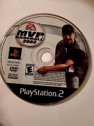 MVP Baseball 2003 photo