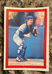 Jim Sundberg [1985 A. L. Championship] #15 Baseball Cards 1986 Topps Stickers Prices
