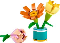 LEGO Set | Friendship Flowers LEGO Friends