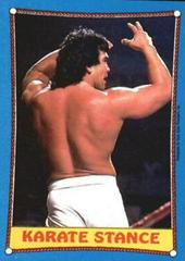 Ricky The Dragon Steamboat Wrestling Cards 1987 Topps WWF Prices