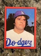 Fernando Valenzuela #119 Baseball Cards 1982 Topps Stickers Prices