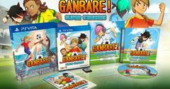 Ganbare! Super Strikers [Limited Edition] Playstation Vita Prices