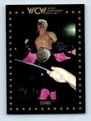 Sting #46 Wrestling Cards 1991 Championship Marketing WCW Prices