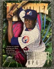 Pedro Martinez #347 Baseball Cards 1997 Circa Prices