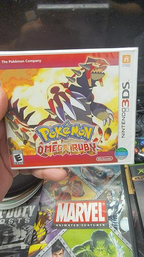 Pokemon Omega Ruby photo