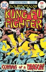 Richard Dragon, Kung-Fu Fighter #1 (1975) Comic Books Richard Dragon, Kung-Fu Fighter Prices