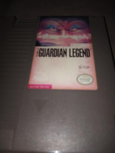 The Guardian Legend photo