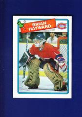 Brian Hayward Hockey Cards 1988 O-Pee-Chee Prices