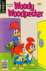 Walter Lantz Woody Woodpecker #173 (1978) Comic Books Walter Lantz Woody Woodpecker Prices