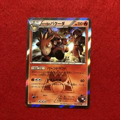 Team Magma's Camerupt #2 Pokemon Japanese Double Crisis Prices