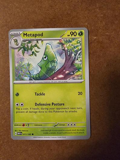 Metapod #11 photo