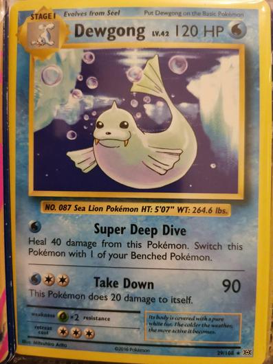 Dewgong #29 photo