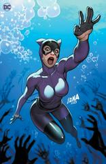 Catwoman [Nakayama Virgin] #63 (2024) Comic Books Catwoman Prices