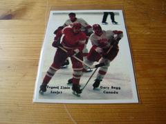 Evgenij Zimin, Gary Begg Hockey Cards 1970 Swedish Masterserien Prices