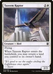 Tazeem Raptor [Foil] Magic Zendikar Rising Prices