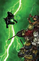 Teenage Mutant Ninja Turtles: The Last Ronin II - Re-Evolution [Gay Virgin] #1 (2024) Comic Books Teenage Mutant Ninja Turtles: The Last Ronin II - Re-Evolution Prices