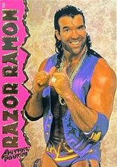 Razor Ramon #3 Wrestling Cards 1995 Action Packed WWF Prices