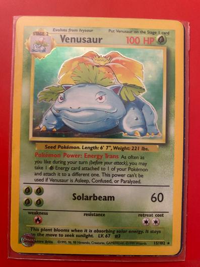 Venusaur #15 photo