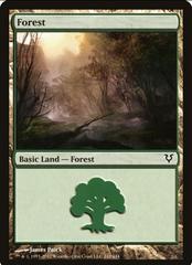 Forest #242 Magic Avacyn Restored Prices