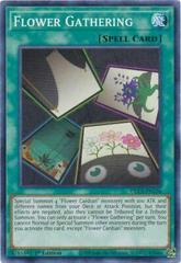 Flower Gathering [1st Edition] YuGiOh Dragons of Legend: The Complete Series Prices