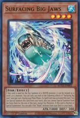 Surfacing Big Jaws ROTA-EN001 YuGiOh Rage of the Abyss Prices