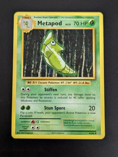 Metapod #4 photo