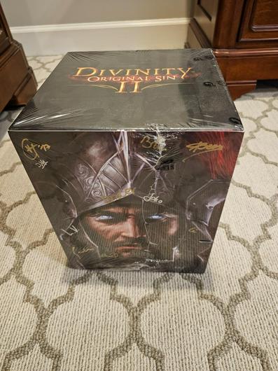 Divinity: Original Sin II [Collector's Edition] photo