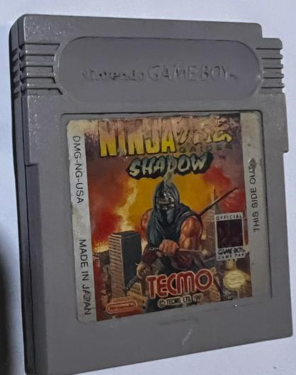 Ninja Gaiden Shadow photo