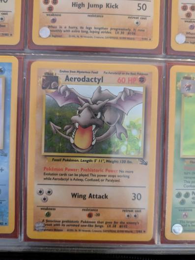 Aerodactyl #1 photo