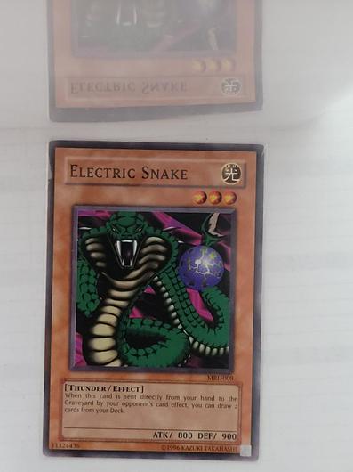 Electric Snake MRL-008 photo