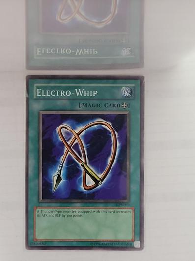 Electro-Whip LOB-093 photo