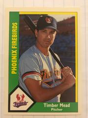 Timber Mead #23 Baseball Cards 1990 CMC Phoenix Firebirds Prices