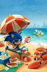 Sonic the Hedgehog [Graham] #41 (2021) Comic Books Sonic the Hedgehog Prices
