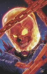 Cosmic Ghost Rider [Stegman Virgin] Comic Books Cosmic Ghost Rider Prices