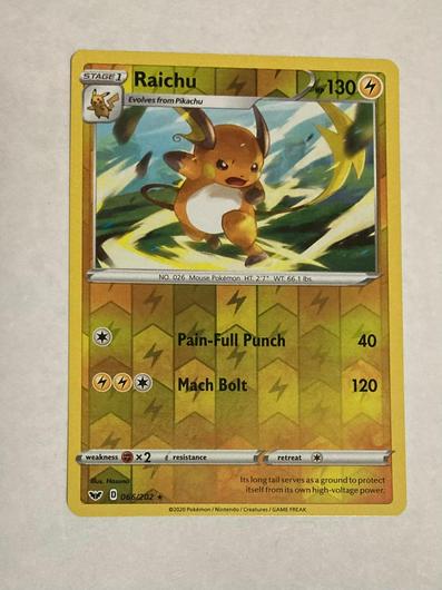 Raichu #66 photo