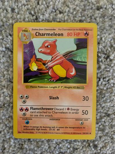 Charmeleon #24 photo