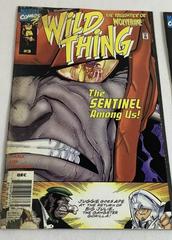 Wild Thing [Newsstand] #3 (1999) Comic Books Wild Thing Prices