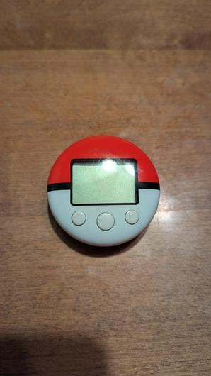 Pokewalker photo