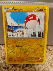 Voltorb [Reverse Holo] #32 Pokemon Plasma Freeze Prices