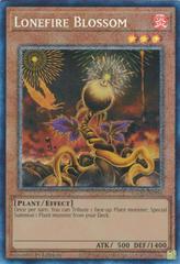 Lonefire Blossom [Collector's Rare] YuGiOh 25th Anniversary Rarity Collection Prices