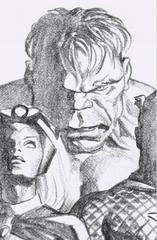 The Immortal Hulk [Ross Virgin Sketch] Comic Books Immortal Hulk Prices