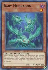 Baby Mudragon [1st Edition] YuGiOh Dawn of Majesty Prices